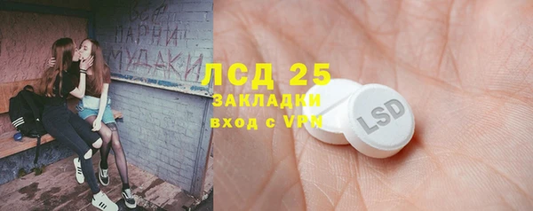 прущие грибы Пестово