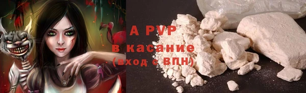 прущие грибы Пестово