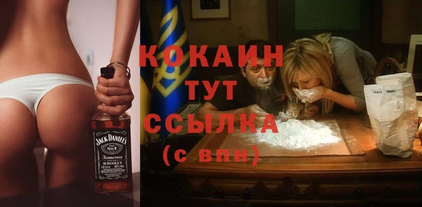 прущие грибы Пестово