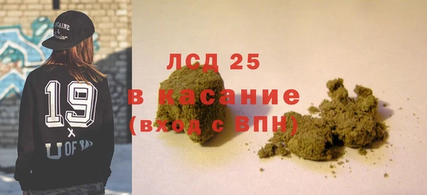 прущие грибы Пестово