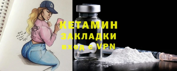 прущие грибы Пестово