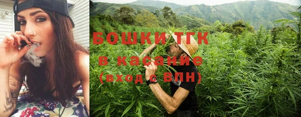 прущие грибы Пестово