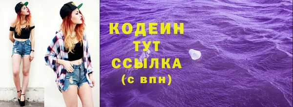 прущие грибы Пестово