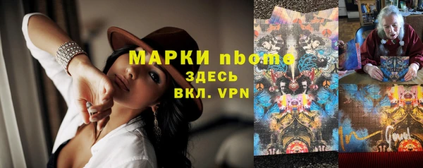 прущие грибы Пестово