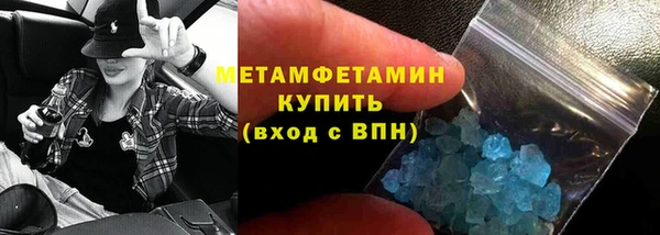 прущие грибы Пестово