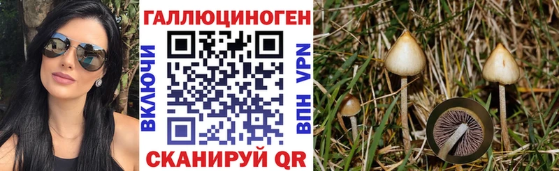 Купить  Егорьевск  Псилоцибиновые грибы прущие грибы 